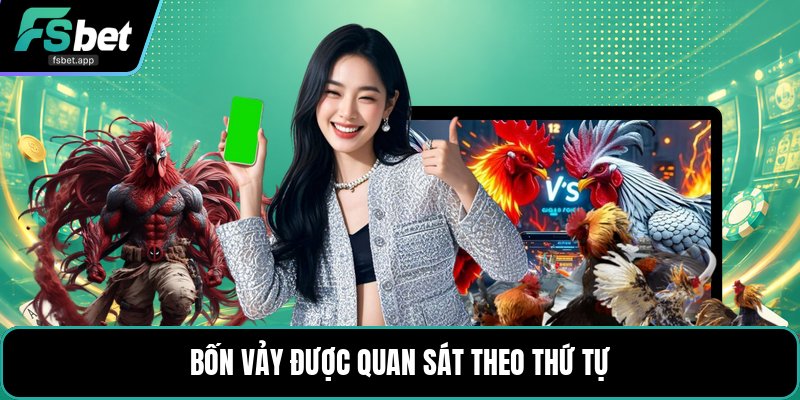 Vảy Gà Tứ Quý - Dấu Hiệu Nhận Biết Và Cách Xem Chuẩn
