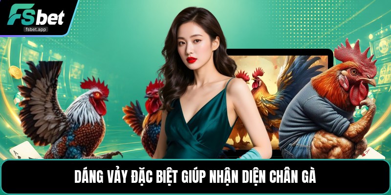 Vảy Gà Khai Vương - Cách Nhận Biết Dáng Vảy Gà Chọi