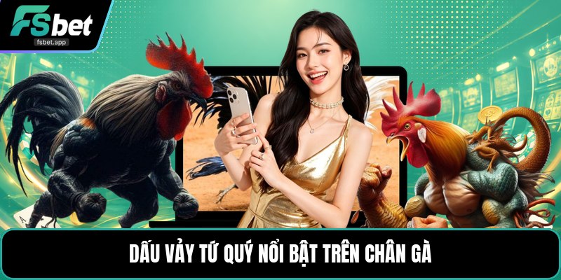 Vảy Gà Tứ Quý - Dấu Hiệu Nhận Biết Và Cách Xem Chuẩn