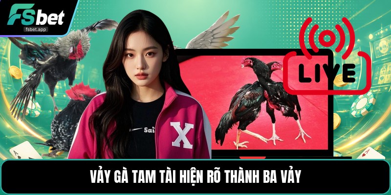 Vảy Gà Tam Tài - Cách Nhận Biết Dấu Vảy Trên Chân Gà