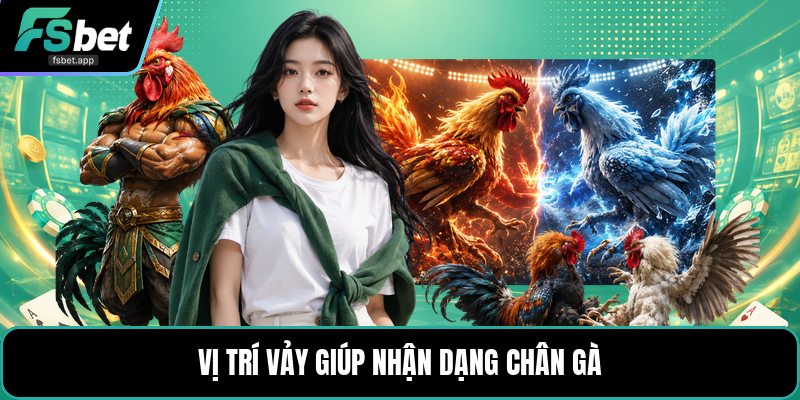 Vảy Gà Tam Tài - Cách Nhận Biết Dấu Vảy Trên Chân Gà