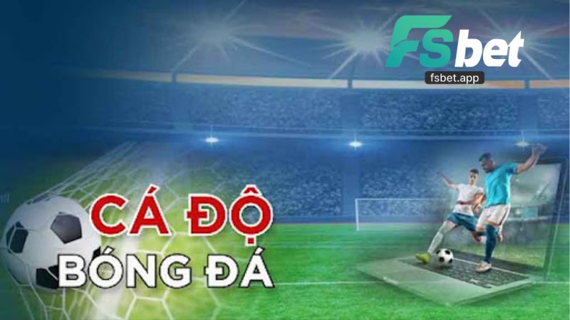 Cá Cược Bóng Đá Ảo - Cách Đọc Kèo Chính Xác Dễ Hiểu